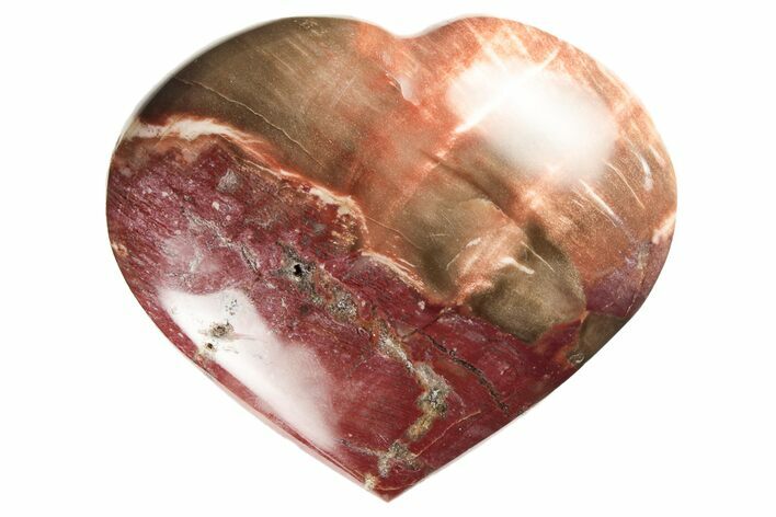 Polished Triassic Petrified Wood Heart - Madagascar #194914